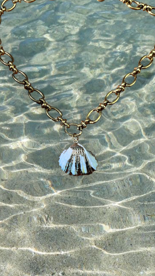 Gold Shell Necklace